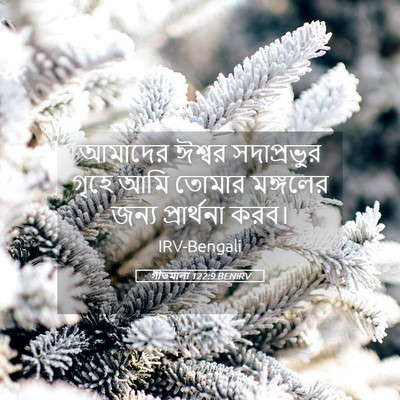 Picture 05 - গীতমালা 122:9 BENIRV - আমাদের ঈশ্বর - Bible Verse Picture