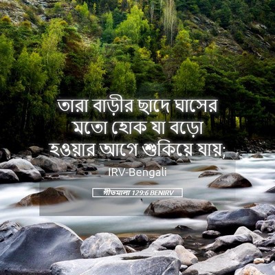 Picture 05 - গীতমালা 129:6 BENIRV - তারা বাড়ীর ছাদে - Bible Verse Picture