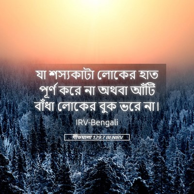 Picture 05 - গীতমালা 129:7 BENIRV - যা শস্যকাটা লোকের - Bible Verse Picture