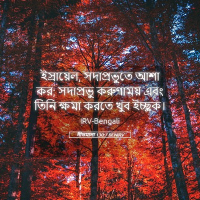 Picture 05 - গীতমালা 130:7 BENIRV - ইস্রায়েল, - Bible Verse Picture