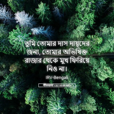 Picture 05 - গীতমালা 132:10 BENIRV - তুমি তোমার দাস - Bible Verse Picture