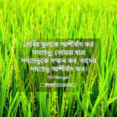 Picture 05 - গীতমালা 135:20 BENIRV - লেবির কুলকে - Bible Verse Picture