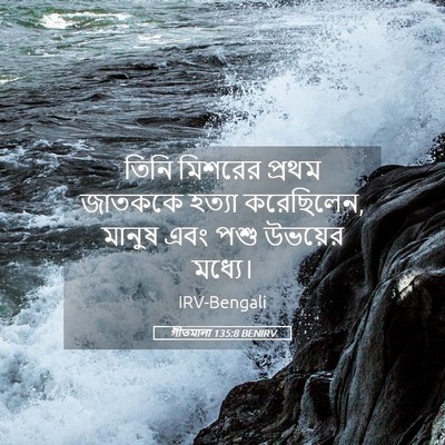 Picture 05 - গীতমালা 135:8 BENIRV - তিনি মিশরের প্রথম - Bible Verse Picture