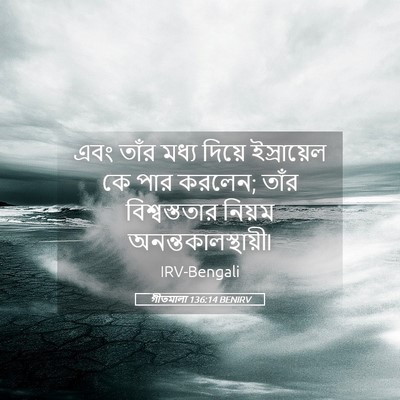 Picture 05 - গীতমালা 136:14 BENIRV - এবং তাঁর মধ্য - Bible Verse Picture