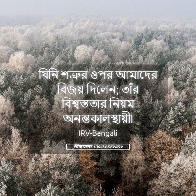 Picture 05 - গীতমালা 136:24 BENIRV - যিনি শত্রুর ওপর - Bible Verse Picture