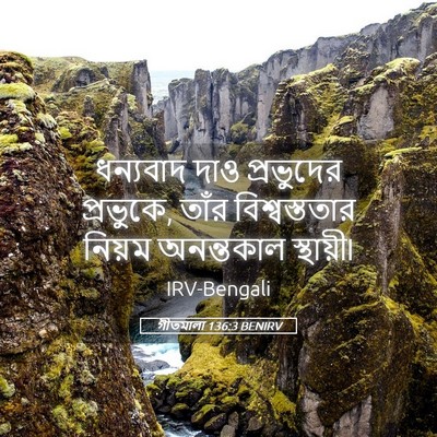 Picture 05 - গীতমালা 136:3 BENIRV - ধন্যবাদ দাও - Bible Verse Picture