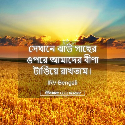 Picture 05 - গীতমালা 137:2 BENIRV - সেখানে ঝাউ গাছের - Bible Verse Picture