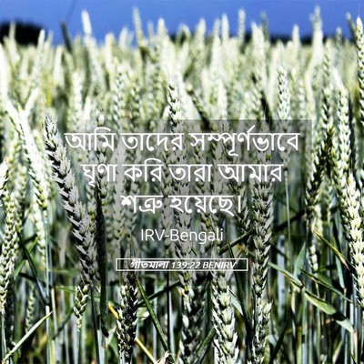 Picture 05 - গীতমালা 139:22 BENIRV - আমি তাদের - Bible Verse Picture