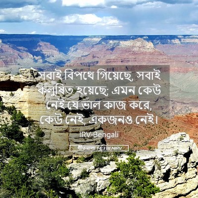 Picture 05 - গীতমালা 14:3 BENIRV - সবাই বিপথে - Bible Verse Picture