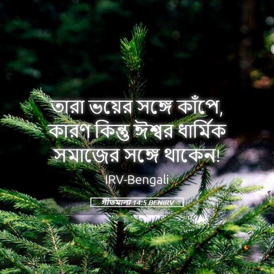 Picture 05 - গীতমালা 14:5 BENIRV - তারা ভয়ের সঙ্গে - Bible Verse Picture