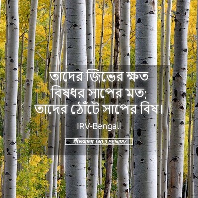 Picture 05 - গীতমালা 140:3 BENIRV - তাদের জিভের ক্ষত - Bible Verse Picture