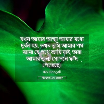 Picture 05 - গীতমালা 142:3 BENIRV - যখন আমার আত্মা - Bible Verse Picture