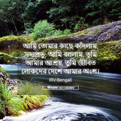 Picture 05 - গীতমালা 142:5 BENIRV - আমি তোমার কাছে - Bible Verse Picture