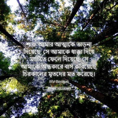 Picture 05 - গীতমালা 143:3 BENIRV - শত্রু আমার - Bible Verse Picture