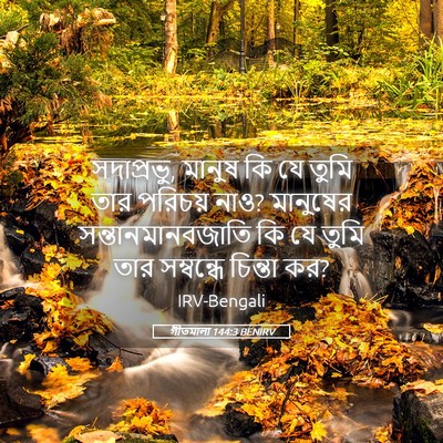 Picture 05 - গীতমালা 144:3 BENIRV - সদাপ্রভুু, মানুষ - Bible Verse Picture