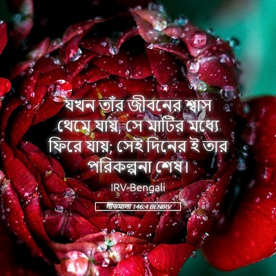 Picture 05 - গীতমালা 146:4 BENIRV - যখন তাঁর জীবনের - Bible Verse Picture