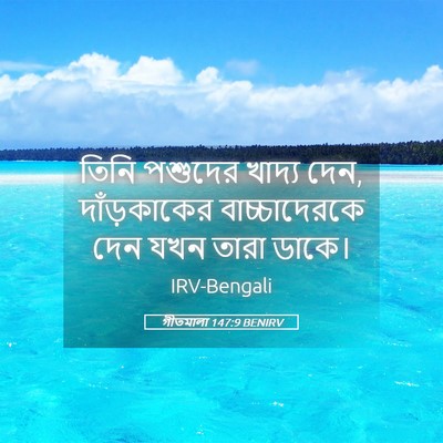 Picture 05 - গীতমালা 147:9 BENIRV - তিনি পশুদের খাদ্য - Bible Verse Picture