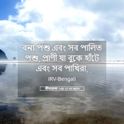 Picture 05 - গীতমালা 148:10 BENIRV - বন্য পশু এবং সব - Bible Verse Picture