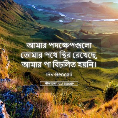 Picture 05 - গীতমালা 17:5 BENIRV - আমার পদক্ষেপগুলো - Bible Verse Picture