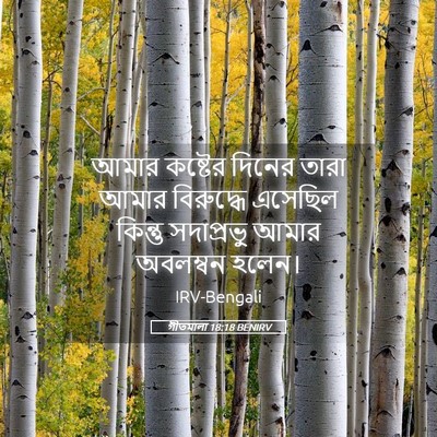 Picture 05 - গীতমালা 18:18 BENIRV - আমার কষ্টের দিনের - Bible Verse Picture