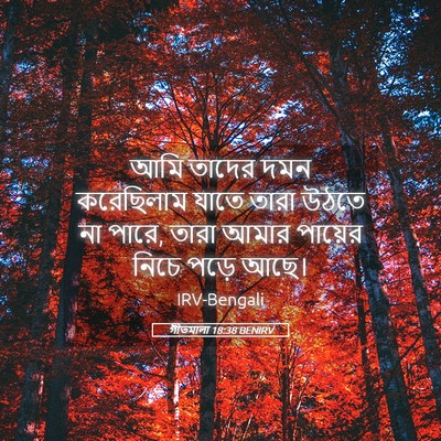 Picture 05 - গীতমালা 18:38 BENIRV - আমি তাদের দমন - Bible Verse Picture