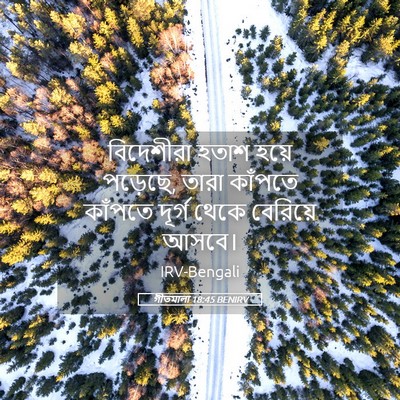 Picture 05 - গীতমালা 18:45 BENIRV - বিদেশীরা হতাশ - Bible Verse Picture