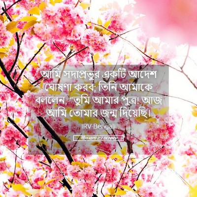 Picture 05 - গীতমালা 2:7 BENIRV - আমি সদাপ্রভুুর - Bible Verse Picture
