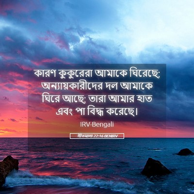 Picture 05 - গীতমালা 22:16 BENIRV - কারণ কুকুরেরা - Bible Verse Picture