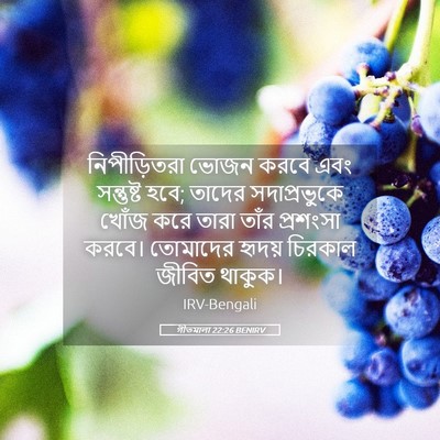 Picture 05 - গীতমালা 22:26 BENIRV - নিপীড়িতরা ভোজন - Bible Verse Picture