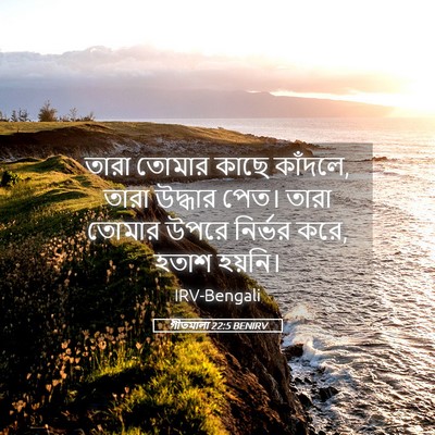 Picture 05 - গীতমালা 22:5 BENIRV - তারা তোমার কাছে - Bible Verse Picture