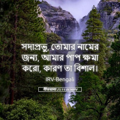 Picture 05 - গীতমালা 25:11 BENIRV - সদাপ্রভুু, তোমার - Bible Verse Picture