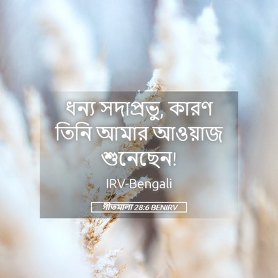 Picture 05 - গীতমালা 28:6 BENIRV - ধন্য সদাপ্রভুু, - Bible Verse Picture