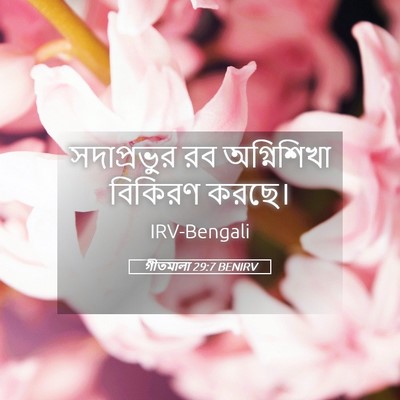 Picture 05 - গীতমালা 29:7 BENIRV - সদাপ্রভুুর রব - Bible Verse Picture