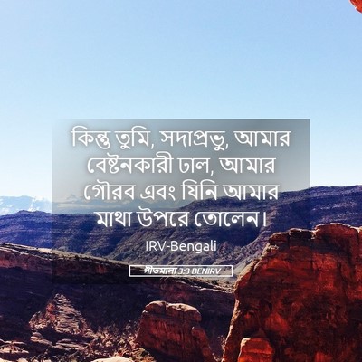Picture 05 - গীতমালা 3:3 BENIRV - কিন্তু তুমি, - Bible Verse Picture