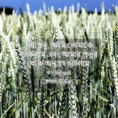 Picture 05 - গীতমালা 30:8 BENIRV - সদাপ্রভুু, আমি - Bible Verse Picture