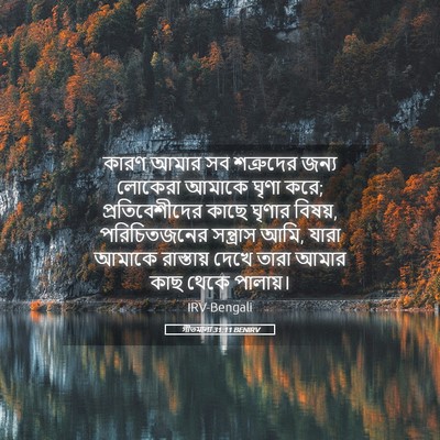 Picture 05 - গীতমালা 31:11 BENIRV - কারণ আমার সব - Bible Verse Picture
