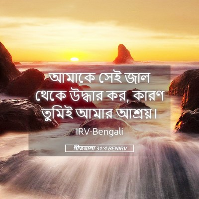 Picture 05 - গীতমালা 31:4 BENIRV - আমাকে সেই জাল থেকে - Bible Verse Picture