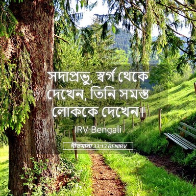 Picture 05 - গীতমালা 33:13 BENIRV - সদাপ্রভুু, স্বর্গ - Bible Verse Picture