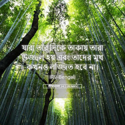 Picture 05 - গীতমালা 34:5 BENIRV - যারা তাঁর দিকে - Bible Verse Picture