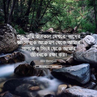 Picture 05 - গীতমালা 35:17 BENIRV - প্রভু, তুমি কতকাল - Bible Verse Picture
