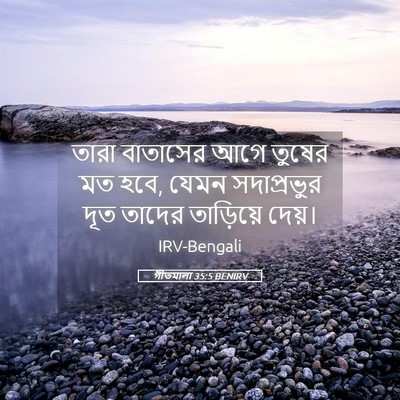 Picture 05 - গীতমালা 35:5 BENIRV - তারা বাতাসের আগে - Bible Verse Picture