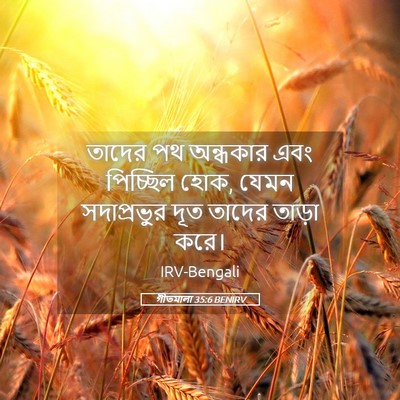 Picture 05 - গীতমালা 35:6 BENIRV - তাদের পথ অন্ধকার - Bible Verse Picture
