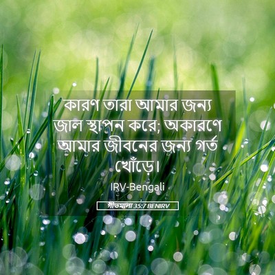 Picture 05 - গীতমালা 35:7 BENIRV - কারণ তারা আমার - Bible Verse Picture