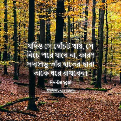 Picture 05 - গীতমালা 37:24 BENIRV - যদিও সে হোঁচট খায়, - Bible Verse Picture
