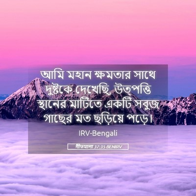 Picture 05 - গীতমালা 37:35 BENIRV - আমি মহান ক্ষমতার - Bible Verse Picture