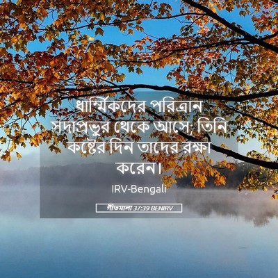 Picture 05 - গীতমালা 37:39 BENIRV - ধার্ম্মিকদের - Bible Verse Picture