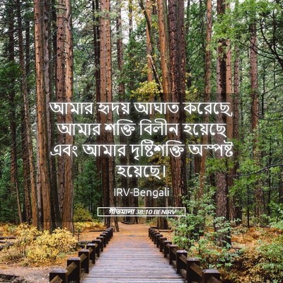 Picture 05 - গীতমালা 38:10 BENIRV - আমার হৃদয় আঘাত - Bible Verse Picture