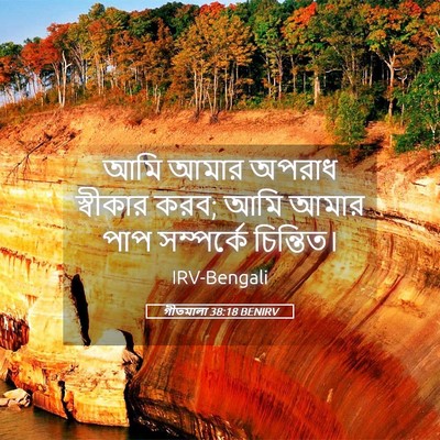 Picture 05 - গীতমালা 38:18 BENIRV - আমি আমার অপরাধ - Bible Verse Picture
