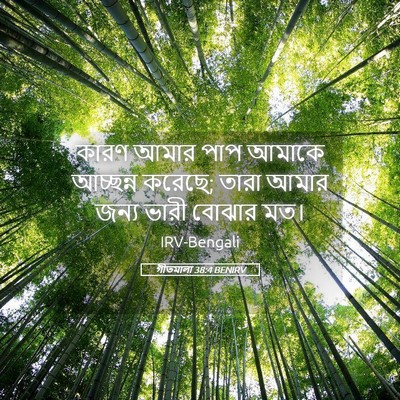 Picture 05 - গীতমালা 38:4 BENIRV - কারণ আমার পাপ - Bible Verse Picture