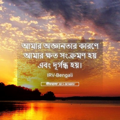 Picture 05 - গীতমালা 38:5 BENIRV - আমার অজ্ঞানতার - Bible Verse Picture